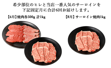 【年6回偶数月発送】伊賀牛 A5ヒレ・サーロイン 定期便A 総合計約6.1kg【dido-tkb0025】
