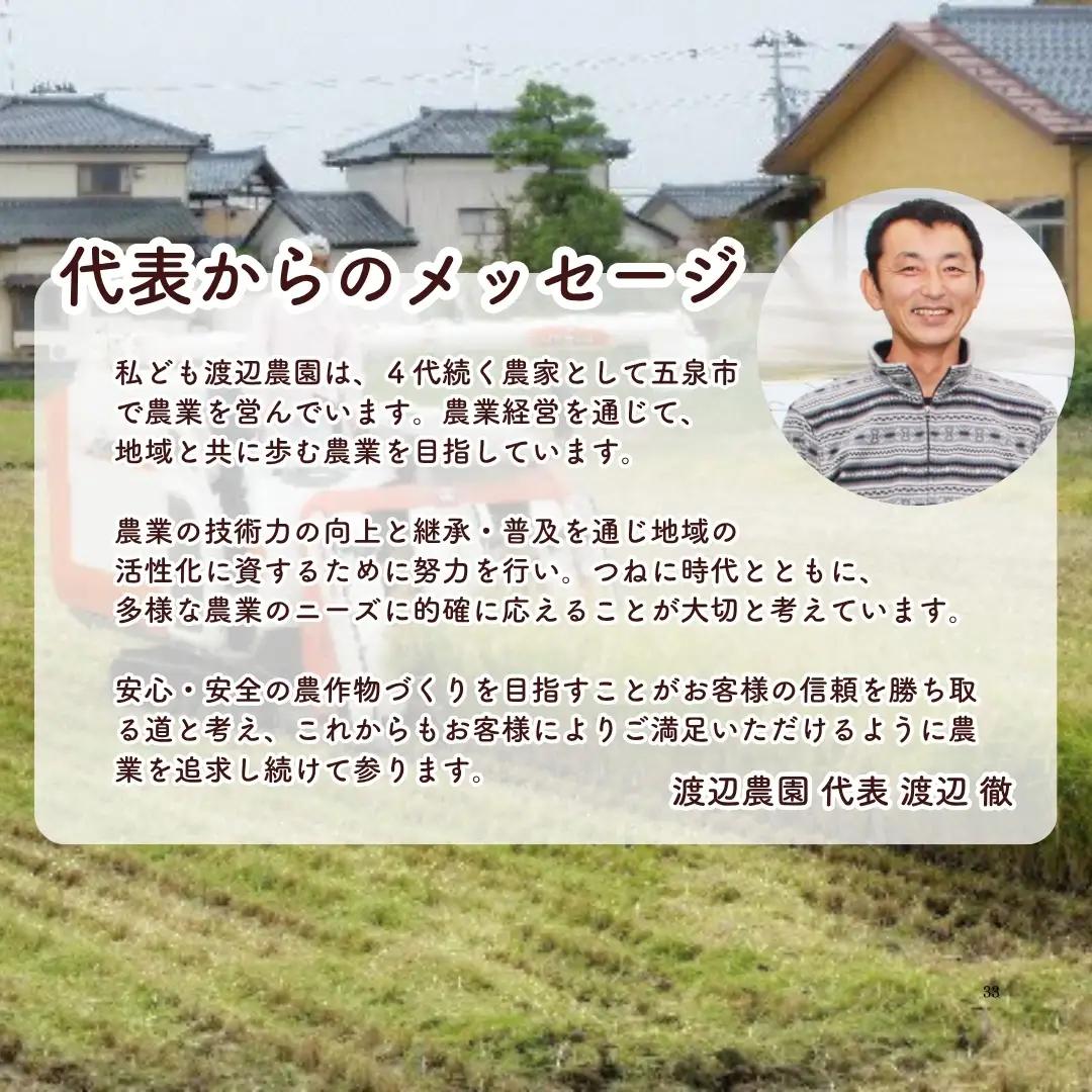 【定期便6回】令和8年産 新米 新之助 10kg×6回(計60kg) 渡辺農園 先行予約 | 新潟県産 白米 米 五泉市 しんのすけ