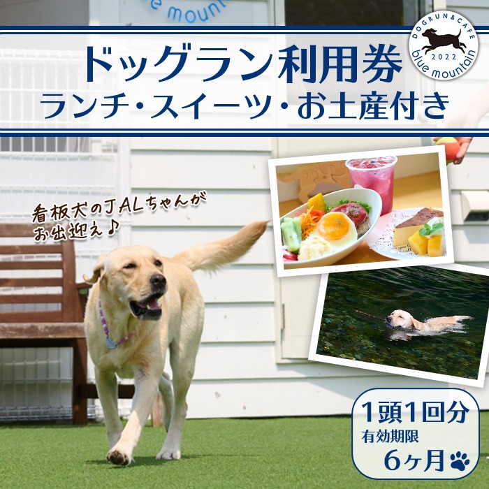 メール便でお届け！ドッグラン利用券(ランチ・スイーツ・お土産付き)(1頭1回分) 犬 ワンちゃん ペット チケット おやつ カフェ 体験 レジャー 自然 屋内 屋内 ラン ポスト投函 大分県 佐伯市【HI001】【ドッグラン&カフェblue mountain】