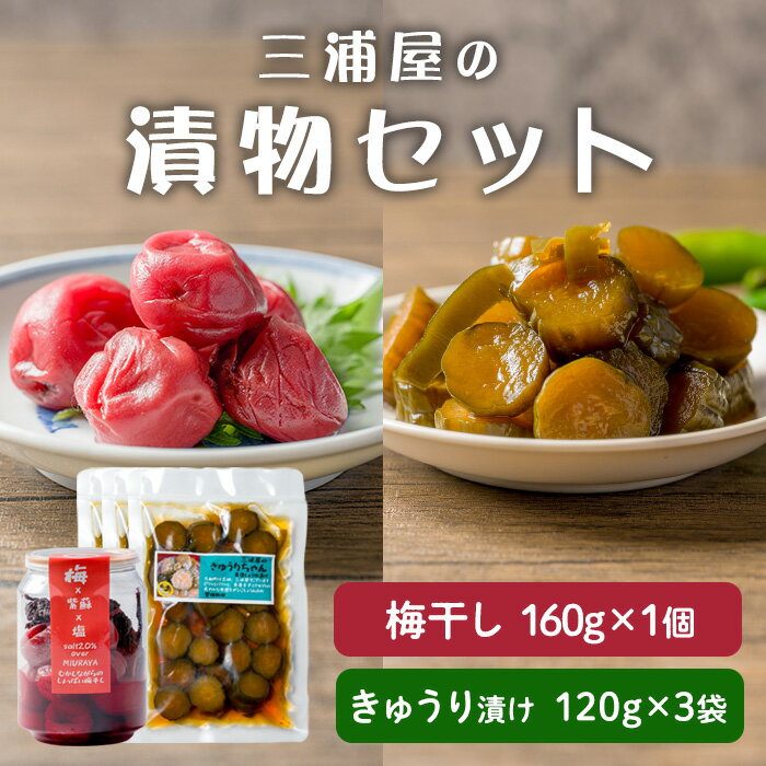 【ふるさと納税】三浦屋の漬物2種セット 青唐しょうゆ漬け きゅうりちゃん(120g×3袋) 昔ながらのしょっぱい梅干し(160g×1個) 青唐辛子 きゅうり漬け うめぼし 梅 塩 赤しそ 漬物 漬け物 おかず おつまみ お茶請け お弁当 ご飯のお供 ピリ辛【三浦屋】ta529
