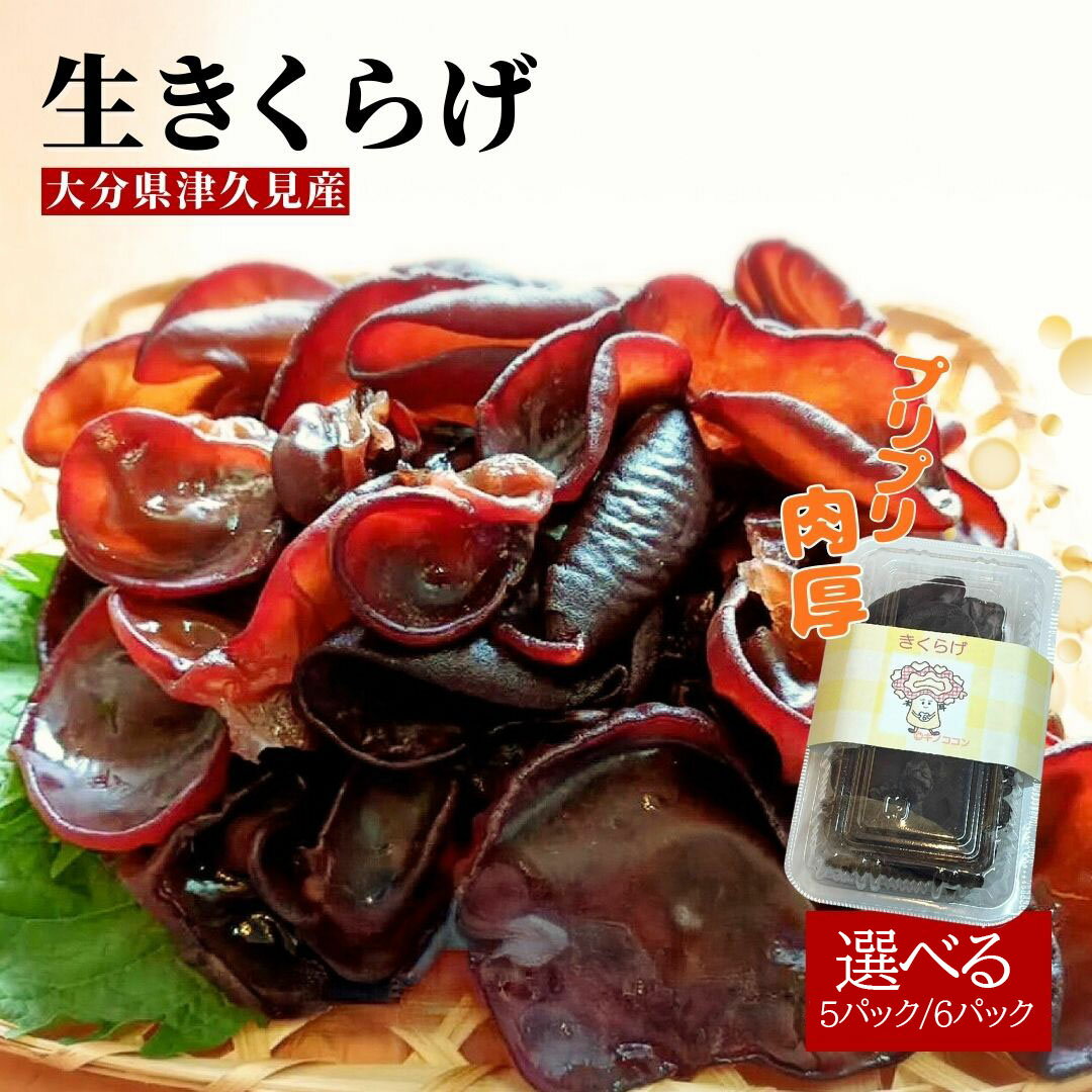 【ふるさと納税】津久見産の肉厚生きくらげ　選べる5パック 6パック（70g パック）　木耳 キクラゲ 国産 くらげ 生キクラゲ 生木耳 日本産キクラゲ 大容量 きくらげ国産 きのこ 国産