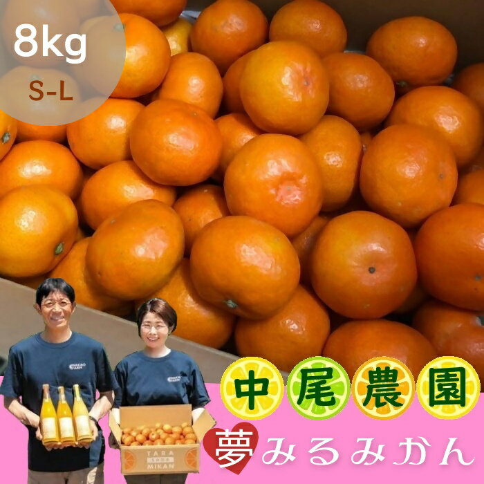 【ふるさと納税】O-167 中尾農園の夢みるみかん（S-L）8kg　果物　くだもの　ビタミン