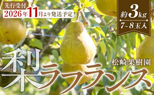 
                  【2026年発送／先行予約】梨「ラ・フランス」約3kg（7～8玉入）【松崎果樹園】
                