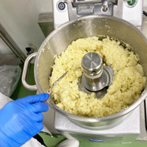 あきたしらかみにんにく 冷凍ペースト 2.5kg（約500g×5袋）　150P3202