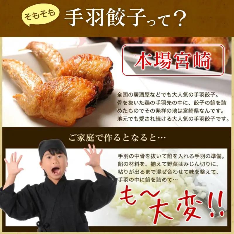 【TV番組で餃子日本一獲得!】 馬渡のもっちり 餃子 手羽餃子 国産 小分け 肉 人気
