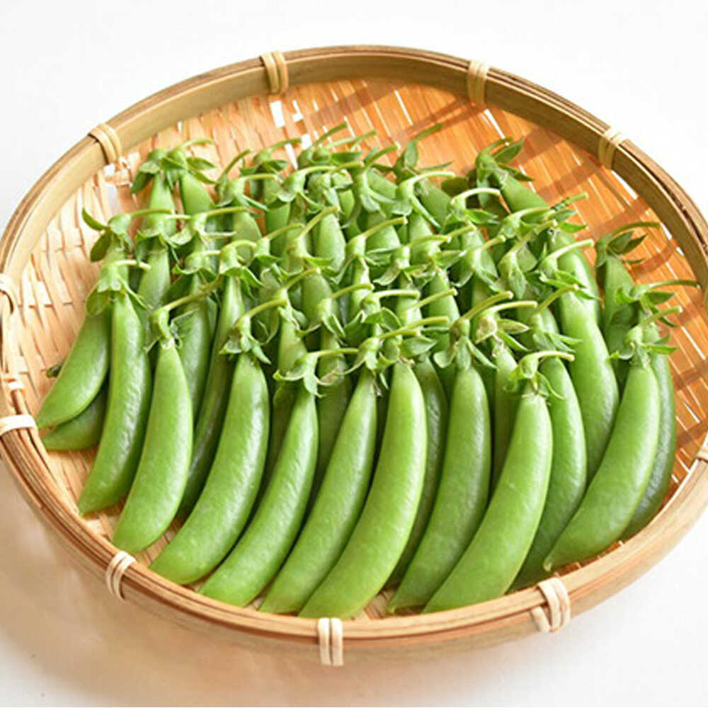 【ふるさと納税】【2026年4月下旬より順次発送】旬の野菜 豆まめ おやつ便 栗東市 / 株式会社　ワダケン[BIBM002]