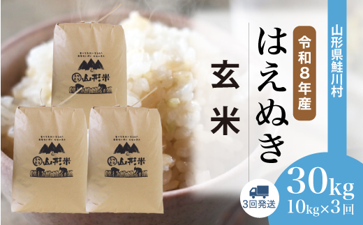 ＜令和8年産米＞ 鮭川村 はえぬき 【玄米】 30kg定期便 （10kg×3回発送）＜配送時期選べます＞