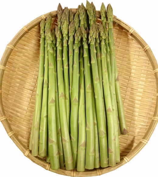
            【令和8年産】食の都庄内　庄内産グリーンアスパラ（MLサイズ）約1.5kg　※令和8年3月中旬～6月上旬頃発送
          