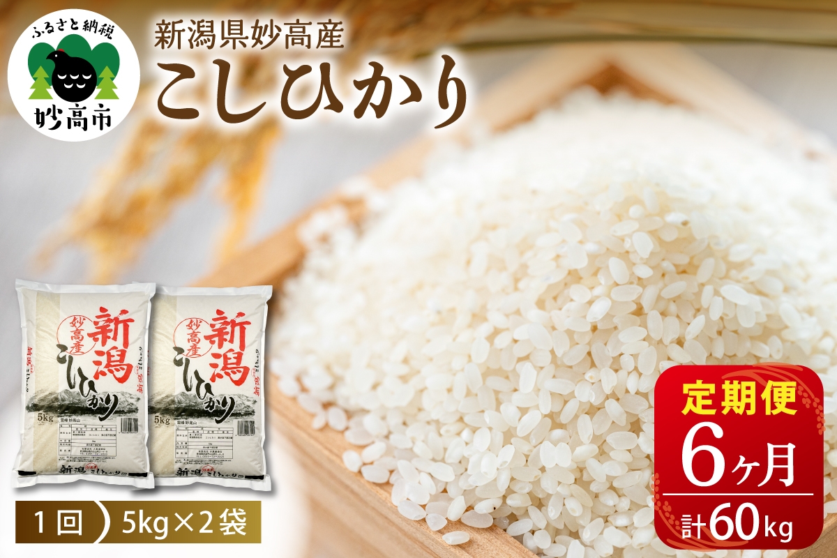 
                  【毎月定期便】令和8年産 新潟県妙高産コシヒカリ10kg(5kg×2袋)×6回（計60kg）精米 コシヒカリ コメ こめ ごはん 米どころ 甘み 粘り 逸品 希少価値 ブランド米 新潟県 妙高市
                