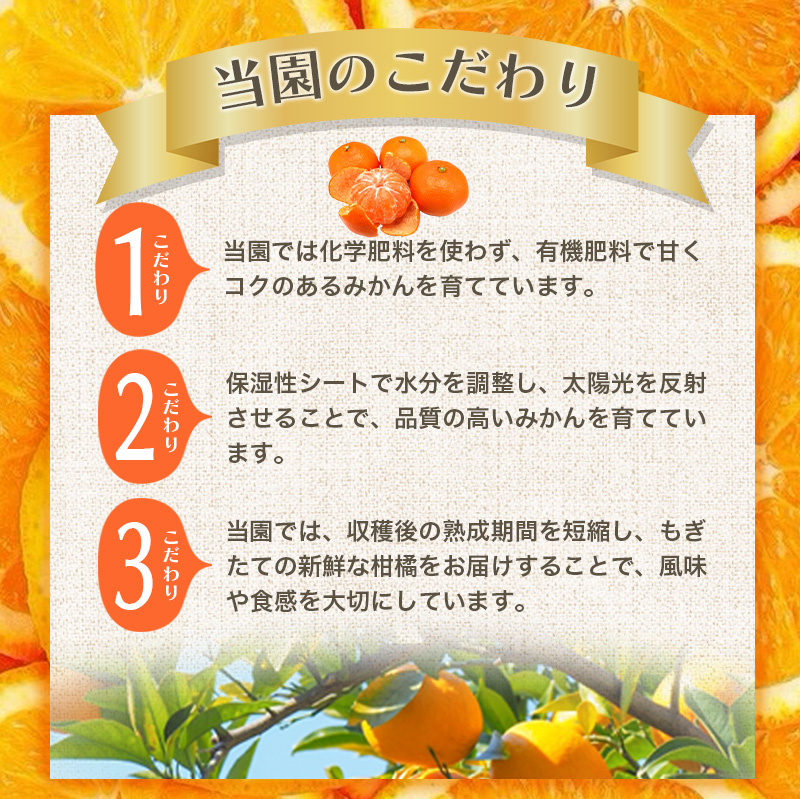 【2025年12月発送予約分】＼光センサー選別／農家直送 こだわりの有田みかん 約2kg＋250g(傷み補償分)【ご家庭用】【12月発送】みかん ミカン 有田みかん 温州みかん 柑橘 有田 和歌山 ※