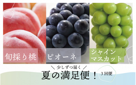 桃、ピオーネ、シャインマスカットが少しずつ届く夏の満足便！３回便(定期便) (岡山県産)【KF-T022-02】