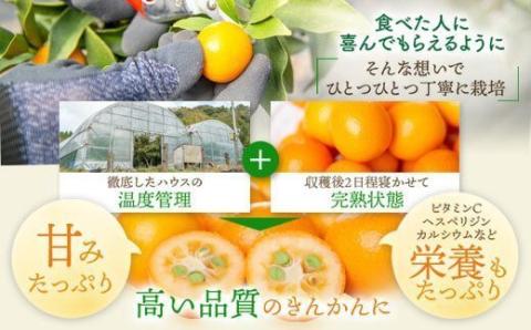 きんかん夢工房ｾｯﾄ_ss0015