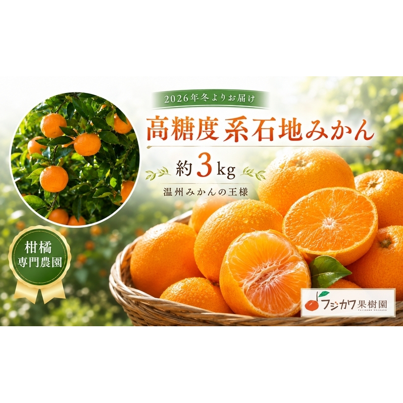 2026年冬よりお届け 高糖度系石地みかん 約3kg 柑橘類 フルーツ 果物 ミカン 