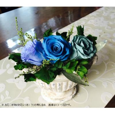ふるさと納税 八尾市 プリザーブドフラワー　リラックス(気持ちが静まり落ち着く効果が期待される)(B207)