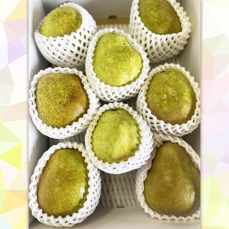 【定期便4回】りんご好きのあなたへ りんご増量便 FY25-221