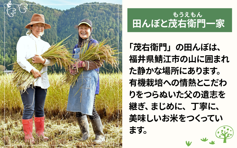 【新米・先行予約】【令和4年産】ピロール農法 コシヒカリ 白米 5kg（5kg × 1袋）真空パック【10月以降順次発送】