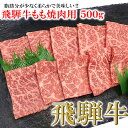 【ふるさと納税】菊の井飛騨牛 モモ焼肉 500g（4～5人前）飛騨牛 下呂温泉 おすすめ 牛肉 肉 和牛 赤身 人気 ブランド牛 肉ギフト 国産　贈答品 もも ギフト 焼肉　【冷凍】 20000円 岐阜県 下呂市