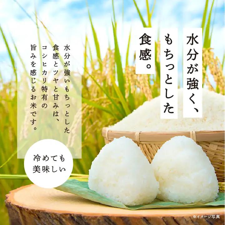 米 定期便 3ヶ月 JAふくしま未来 コシヒカリ 5kg×2袋【こらんしょ市】