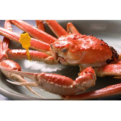 ふるさと納税 鯖江市 【11月6日漁解禁】福井冬の味覚!越前がに 1杯 (1,400〜1,500g)