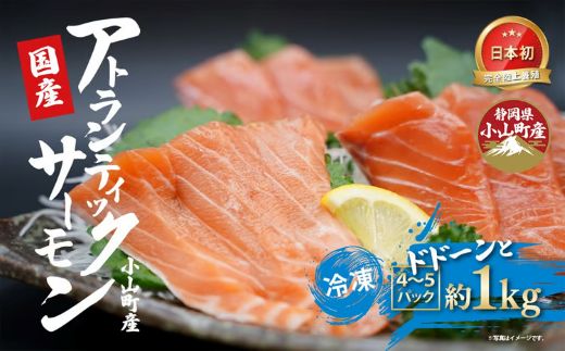 日本初 完全陸上養殖 静岡県小山町産 アトランティックサーモン 冷凍 4～5P 約1kg