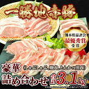 【ふるさと納税】熊本県 球磨村 農林水産大臣賞受賞 一勝地赤豚 詰め合わせ 3.1kg FKP9-140