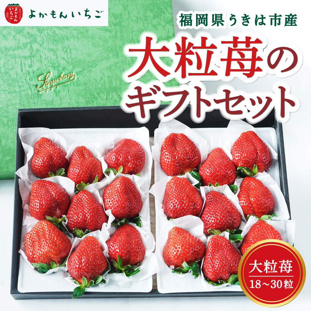 よかもんいちご 大粒苺のギフトセットB 2025年2月1日から2月28日 出荷予定