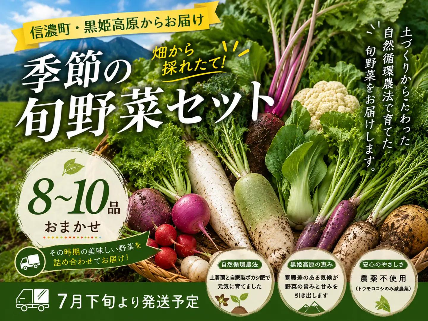 【朝採れ直送】こだわりの土作りが育てた安心野菜セット 厳選8~10品 みつぶ農園 朝採り【季節の旬野菜詰合せ】※７月下旬発送予定