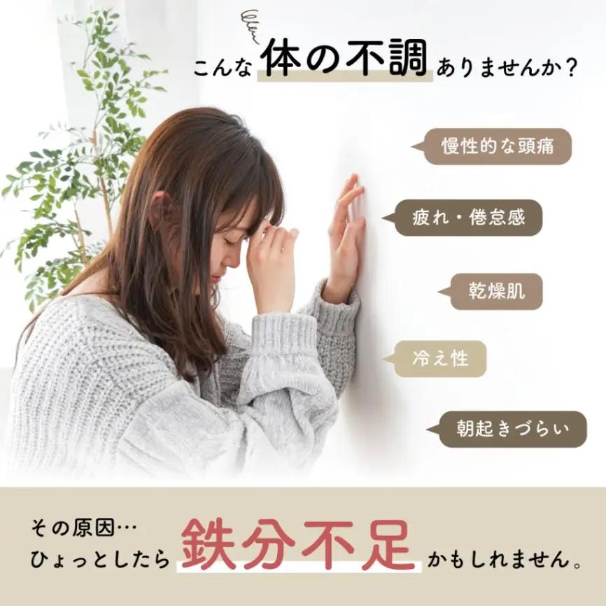 鉄玉　ねこっと　 鉄分 補給 料理 調理 グッズ ナス 黒豆 KIB1 スケーター キッチン グッズ 健康 栄養 鉄 かわいい キャラクター 猫 ねこ ネコ 〈スケーター株式会社〉   3-010