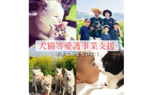 【返礼品なし】【犬猫等愛護活動 犬と猫と人にとって住みよい社会づくりを応援】宮崎県 高原町 特定非営利活動法人 咲桃虎(さくもんと)　TF3008