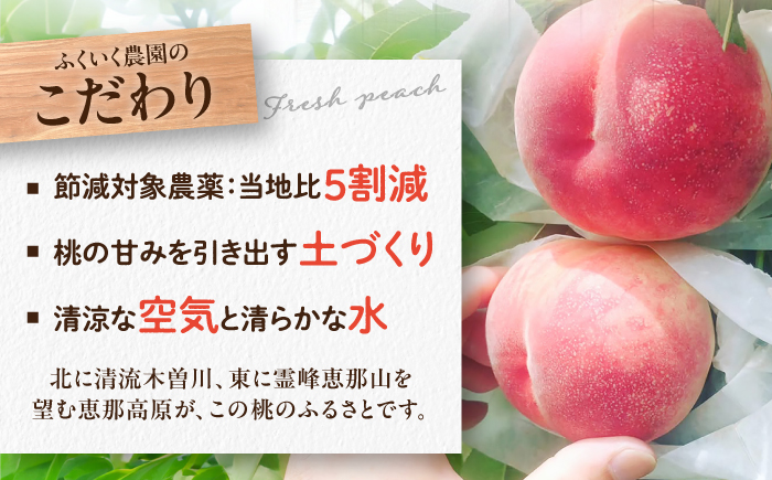 桃ジュース 2本セット / 桃 もも モモ 桃ジュース ジュース 飲料 飲み物 ドリンク ももジュース フルーツジュース / 恵那市 / 馥郁農園 [AUCK011]