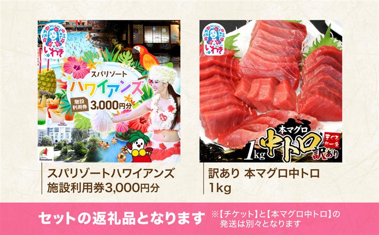 スパリゾートハワイアンズ　施設利用券3,000円分＋本マグロ訳あり中トロ1kg　解凍レシピ付　本マグロのトロ食べ放題！ | 利用チケット 入場券 ホテルハワイアンズ モノリスタワー ウイルポート フラ