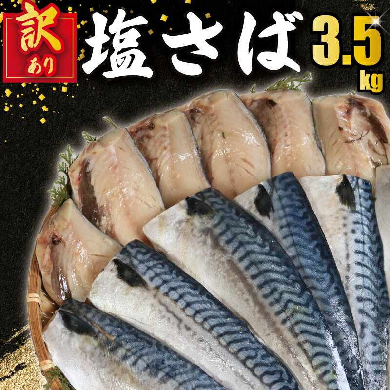 【ふるさと納税】 訳あり 塩鯖フィレ 3.5kg さば 鯖 塩鯖 塩さば フィレ 塩さばフィレ 塩サバフィレ 切り身 切身 魚 海鮮 魚介類 不揃い 小分け 個別冷凍 お弁当 惣菜 おかず 塩焼き 味噌煮 冷凍 鮮度 旨味 お取り寄せ グルメ 大容量 送料無料 千葉県 銚子市 荒野商店