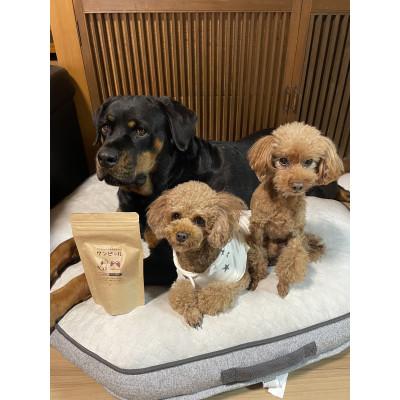 ふるさと納税 茨城県 茨城県産ほしいもの未利用部分を使用したワンちゃんのための無添加おやつ(90g×2袋) |  | 03