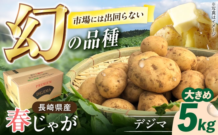 
                  なんぐしデジマ（春作じゃがいも）大きめ5kg 【2026年5月〜6月発送】長崎県/なんぐしデジマプロジェクトチーム [42ALAI003] デジマ じゃがいも ジャガイモ 春作 新じゃが 長崎 国産 野菜 旬 家庭用 長崎 雲仙 南串山
                