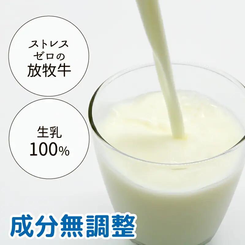 【定期便 12回 週1】山地酪農牛乳 1L×8本 低温殺菌 牛乳 南国斉藤牧場 