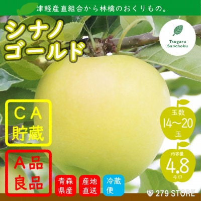 りんご シナノゴールド 4月から順次発送 A品 4.8kg (14～20玉)CA貯蔵 産直組合直送【配送不可地域：離島】