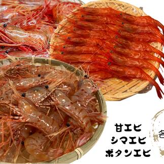 【ふるさと納税】8-020-005　天然エビ3種セット（大サイズ）各250g　お届け：入金確認後、1週間～1ヶ月以内