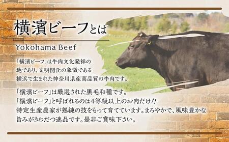 【神奈川県産黒毛和牛】かながわブランド認定　極上の黒毛和牛　横濱ビーフ　切り落とし　300g×2 AKS0001