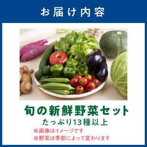 旬の新鮮野菜セットたっぷり13種以上【0054-3】