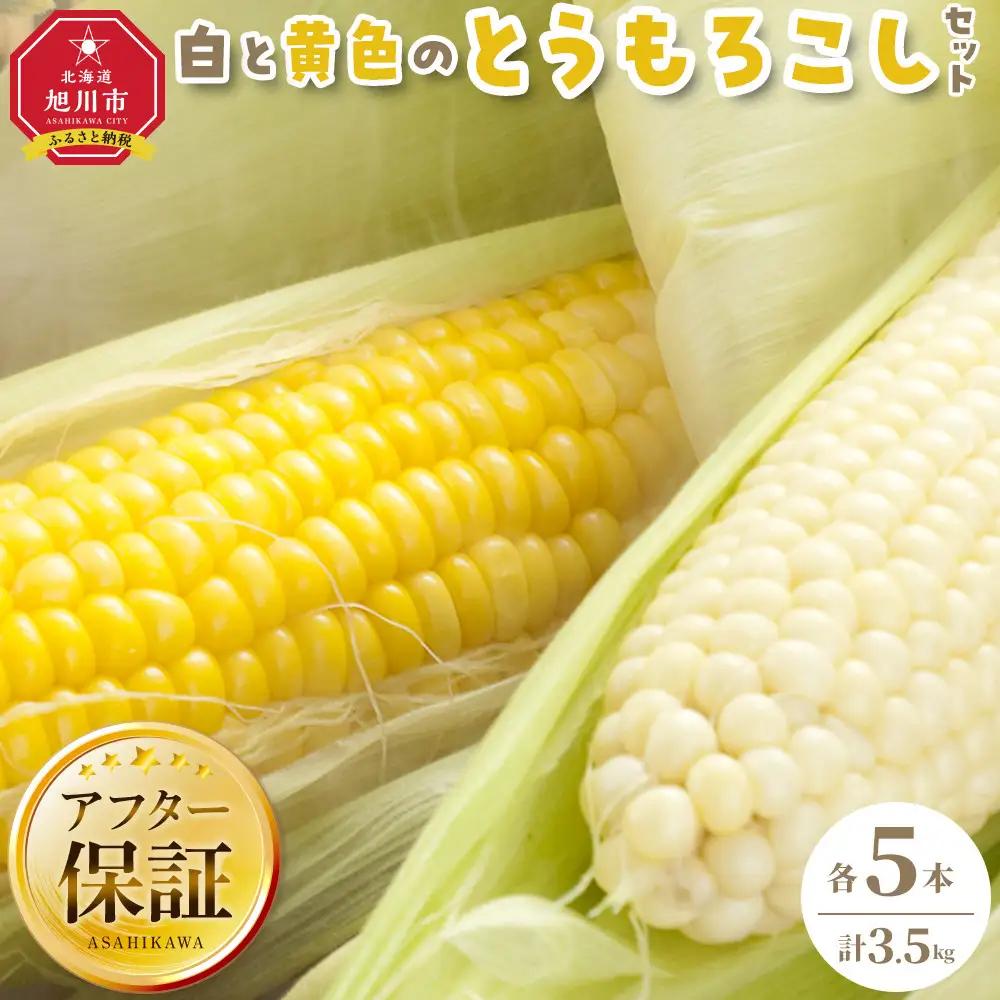 【先行予約】旭川近郊産 白と黄色のとうもろこしセット　各5本（計3.5kg）2026年8月上旬から発送開始 | とうもろこし 北海道産 _00094