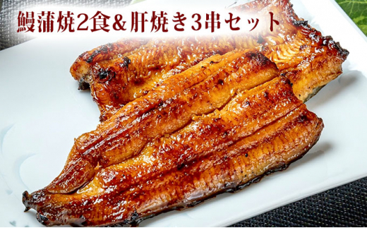 
〈うなぎの篝火〉国産うなぎ真空パック蒲焼2食・鰻肝焼き3串セット【配送不可：離島】 [№5550-0852]
