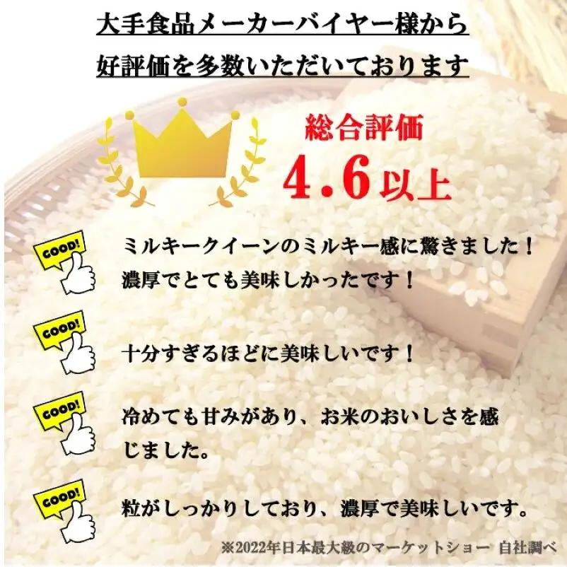 ミルキークイーン 玄米 5kg 令和8年産 ミルキークイーン