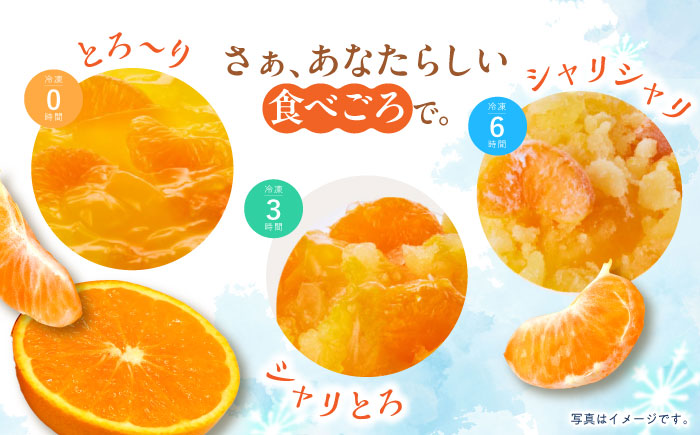 【年内配送】　【贈答用】 たらみ とろける味わい 詰め合わせ 12個セット( みかん 白桃 ぶどう ミックス ) / ゼリー ぜりー フルーツゼリー 果実ゼリー 果物 フルーツ くだもの ミカン ブド