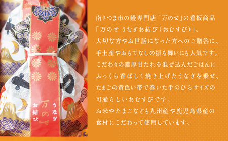 【鹿児島県産 鰻】うなぎ専門店「万のせ」 うなぎ蒸しおむすび９個