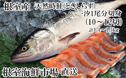 B-14121 【北海道根室産】無添加天然時鮭(トキシラズ)1尾分切身(10～12切)