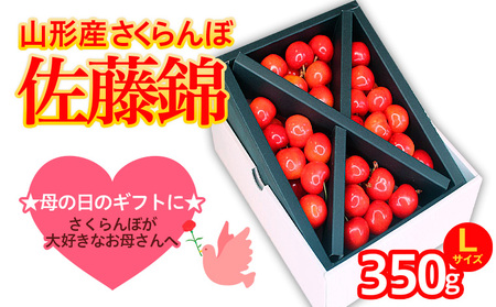 ★５月まるごと母の日★さくらんぼ 佐藤錦 Lサイズ 350g (5/15～発送)【令和9年産先行予約】 FS25-550 くだもの 果物 フルーツ 山形 山形県 山形市 2027年産