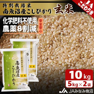 ふるさと納税 南魚沼市 【令和7年産《新米》】匠がつくる「特別栽培米南魚沼産こしひかり8割減」玄米10kg(5kg×2袋)