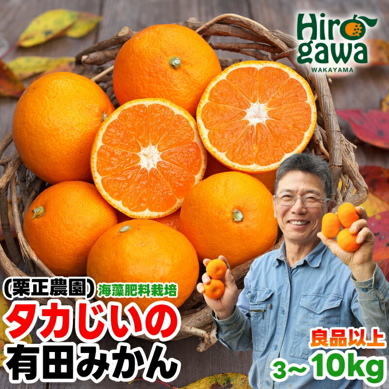 【ふるさと納税】 タカじいの 有田みかん サイズ混合 or 大玉 / 温州みかん 有田 みかん 甘い 家庭用 和歌山 柑橘 3kg 5kg 10kg 10000円 ※10月～1月順次発送 //mandarin