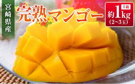 ◆宮崎県産 完熟マンゴー（合計約1kg）