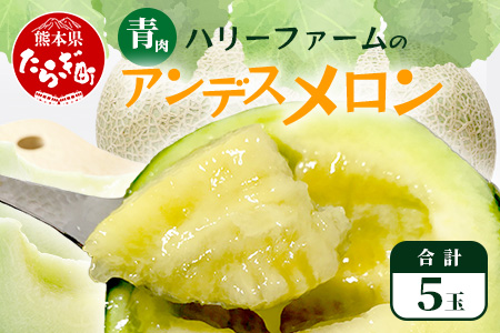 【2026年5月上旬～発送】アンデス メロン 青肉 5玉 (合計 約4.5～5kg) 熊本県 多良木町産 果物 フルーツ メロン 先行予約 5個 青肉 ミツバチ交配 期間限定 数量限定 先行予約 10